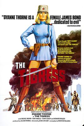 飞快排seo优化软件